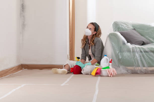 Reliable Black Mold Remediation contractor in Sawyer, MI by 24 Hour Mold Removal